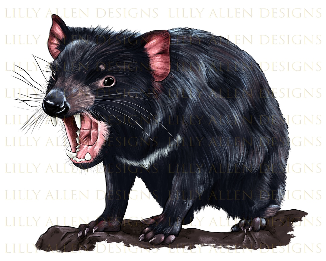 Tasmanian Devil Illustrations Png Digital Download, Marten Sublimation