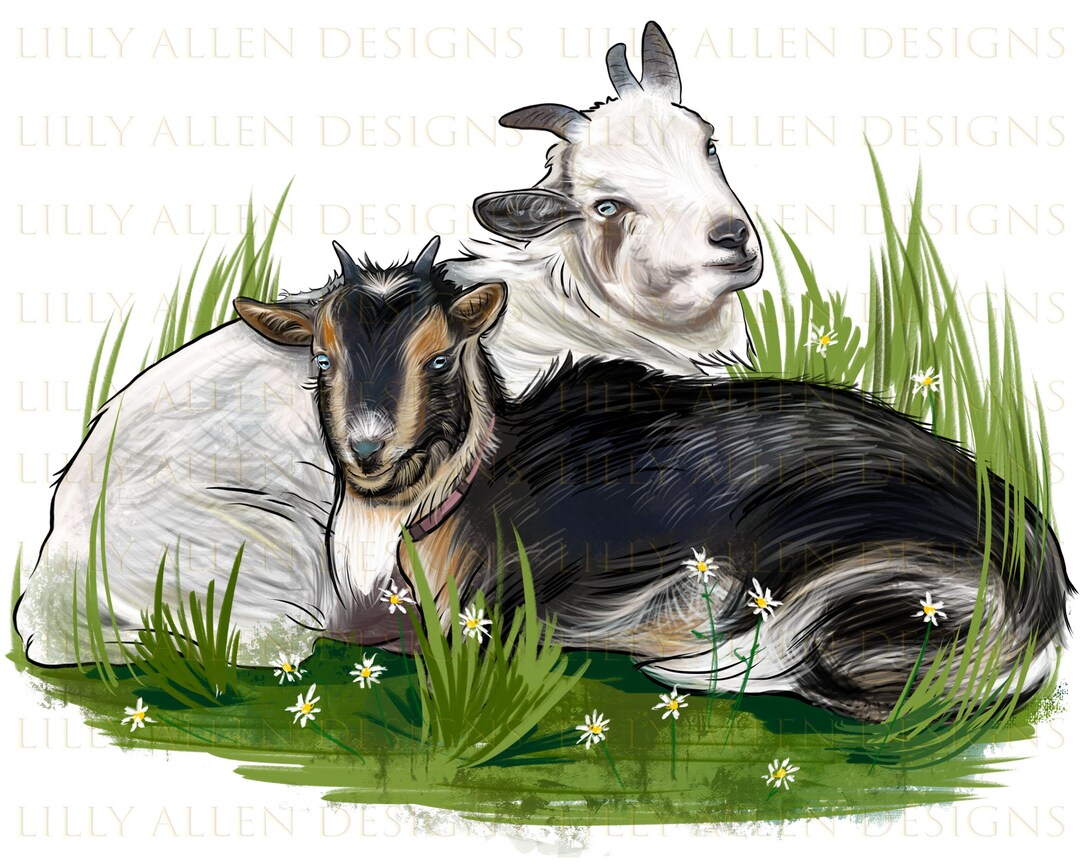 2 Nigerian Dwarf Goat Png, Goat Png Sublimation Design, Goat Png, Hand ...