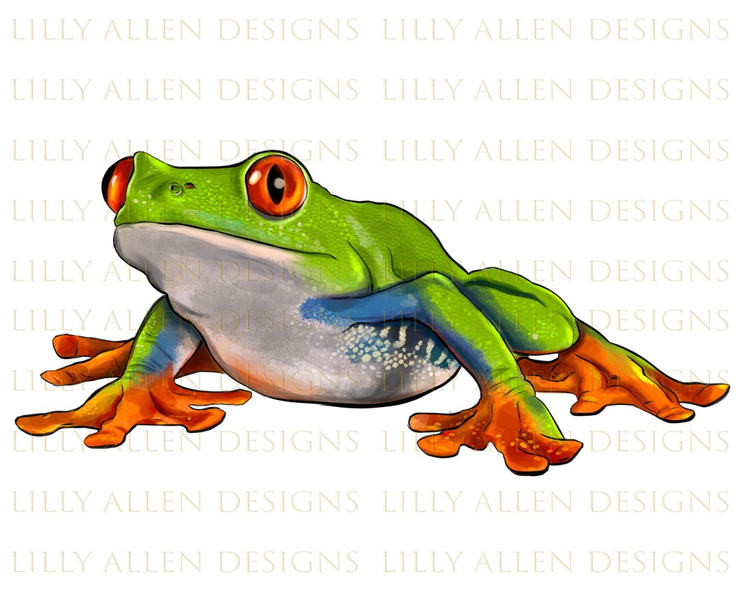 Red Eyed Tree Frog Illustrations Png Digital Download, Frog ...