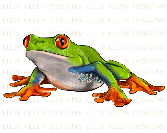 Red Eyed Tree Frog Illustrations Png Digital Download Frog - Etsy