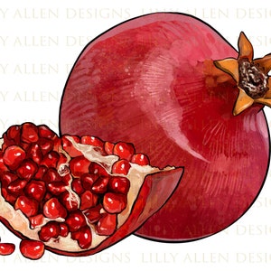 Pomegranate Png Sublimation Design, Hand Drawn Pomegranate Png, Gardening Png, Pomegranate Clipart, Fruit Png, Digital Download