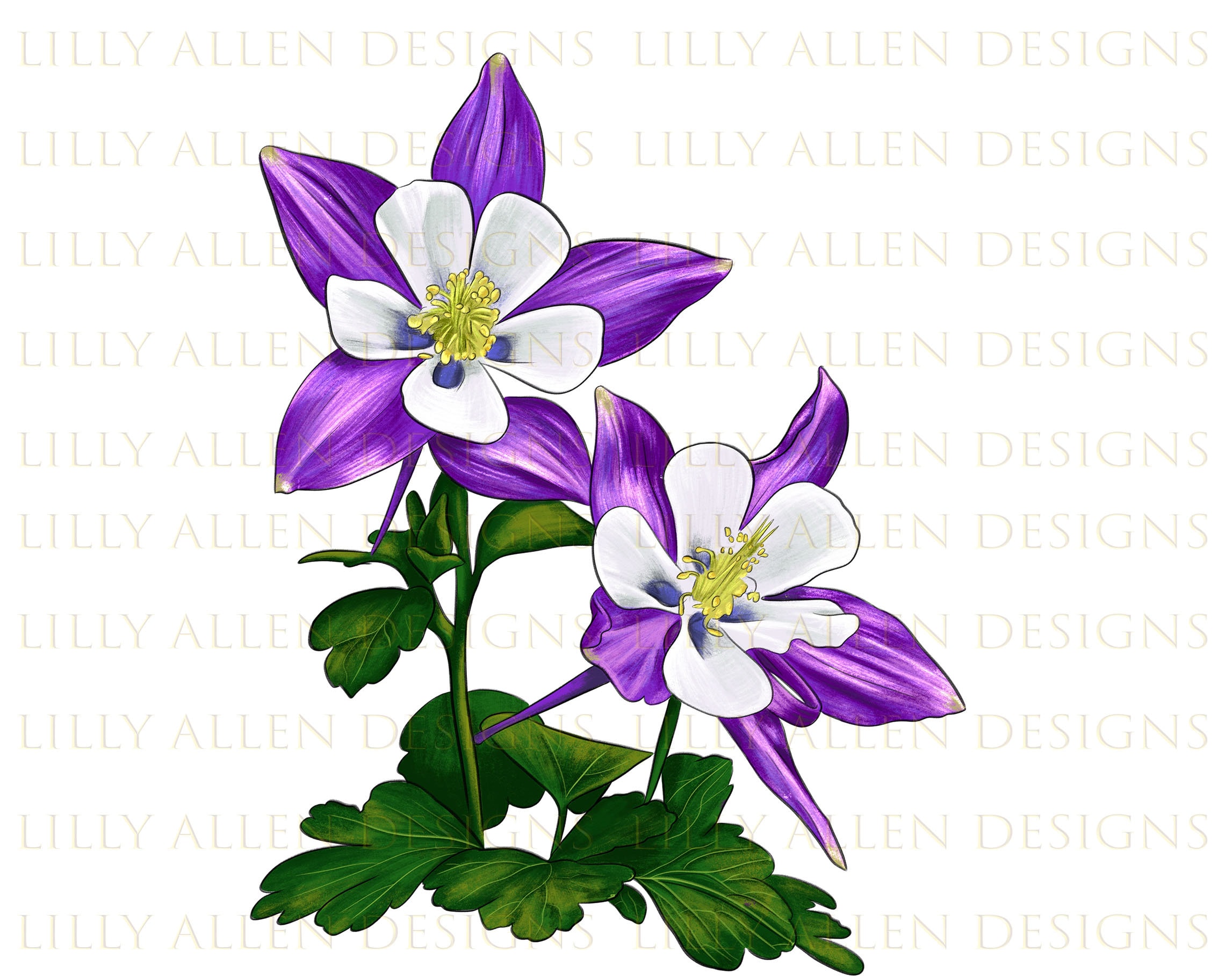 Columbine Flower Clip Art