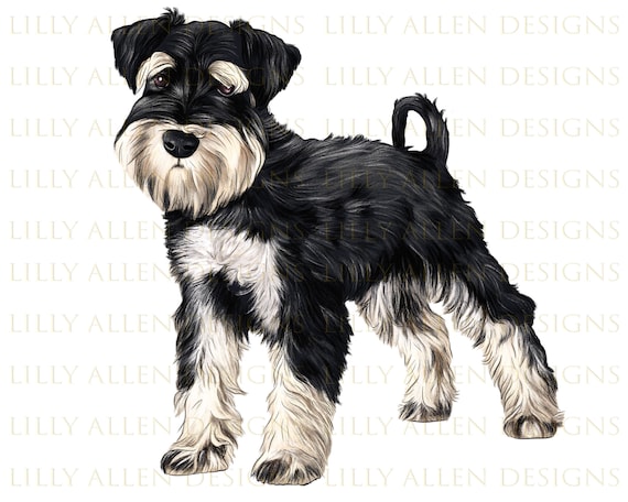 Schnauzer store decorative accessories