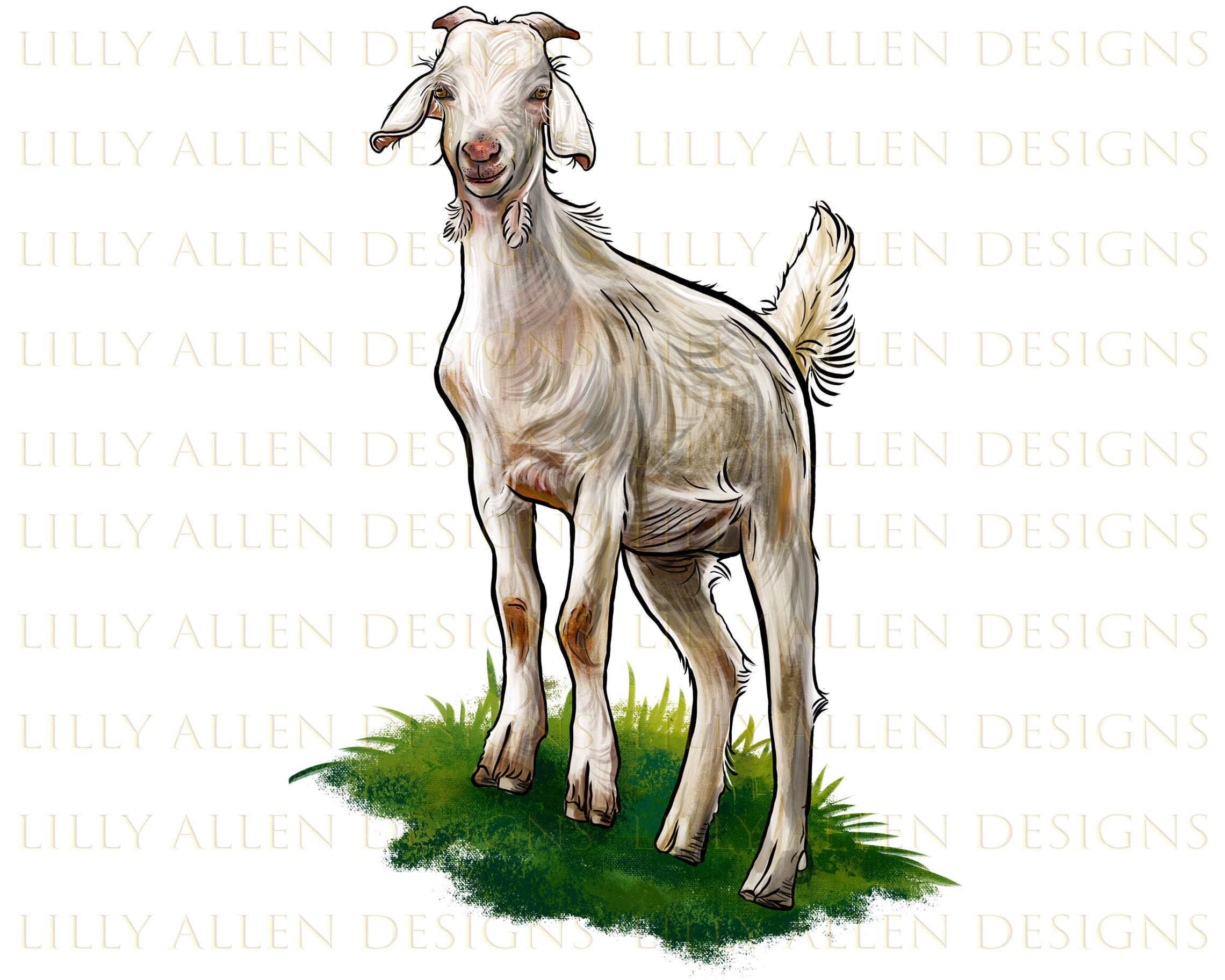 Kiko Goat Goat Png Sublimation Design Kiko Png Etsy