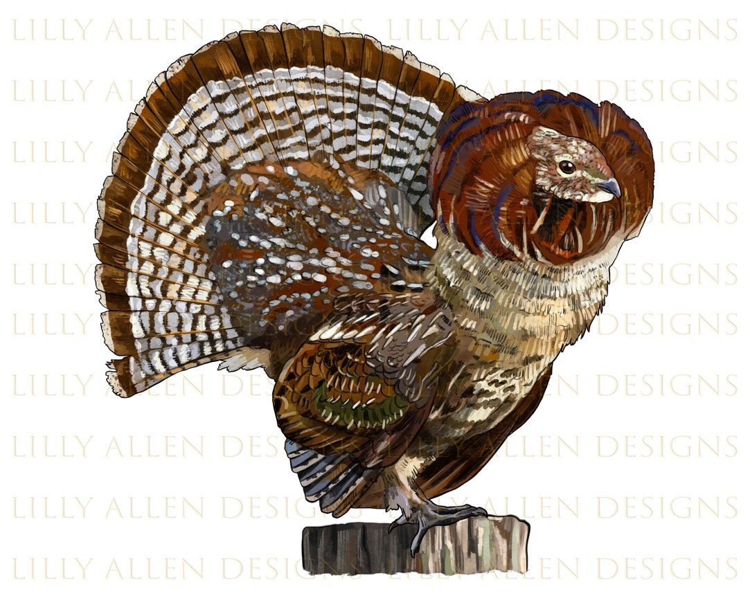 Ruffed Grouse Png Digital Download, Ruffed Grouse Sublimation Png, Printable Ruffed Grouse Png ...