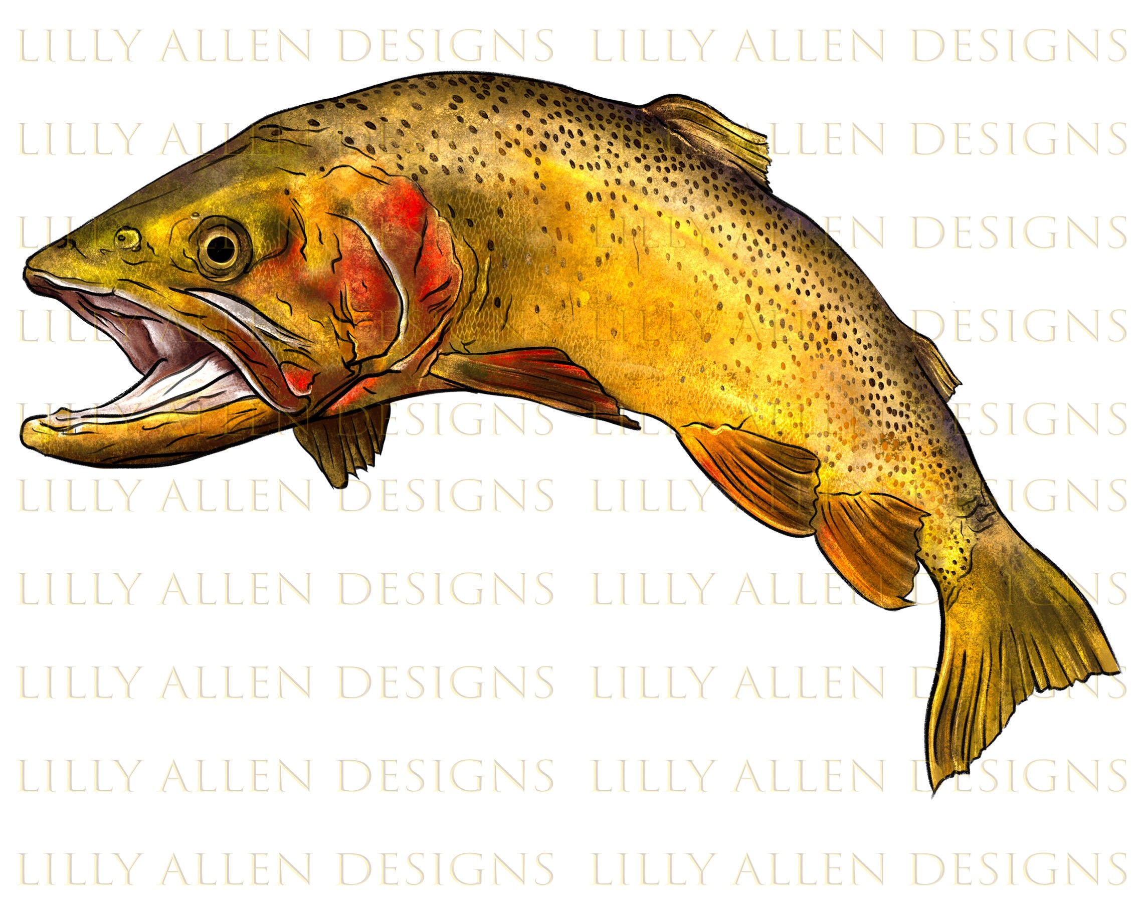 Yellowstone Cutthroat Trout Illustrations Png Digital Etsy
