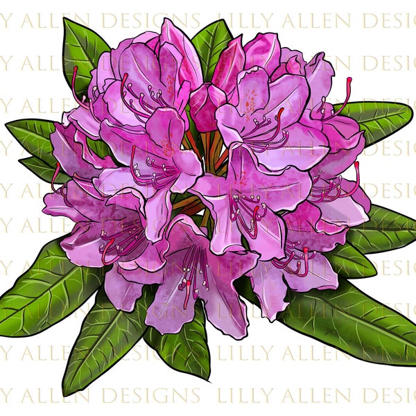 Rhododendron Flower Png Sublimation Design, Flower Png Sublimation Design,Hand Drawn Flower Png,Pink Flower Png,Flower Clipart,Png Downloads