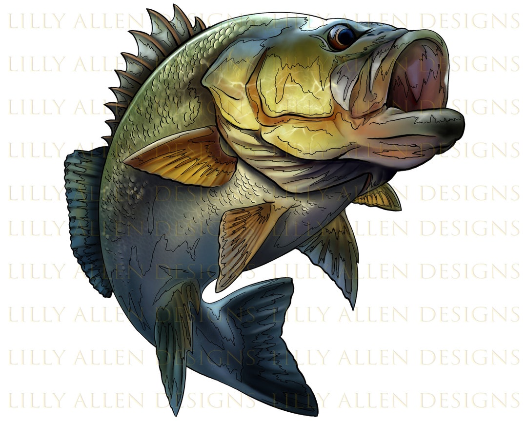 Bas Drawings Color Jumping Bass Drawing