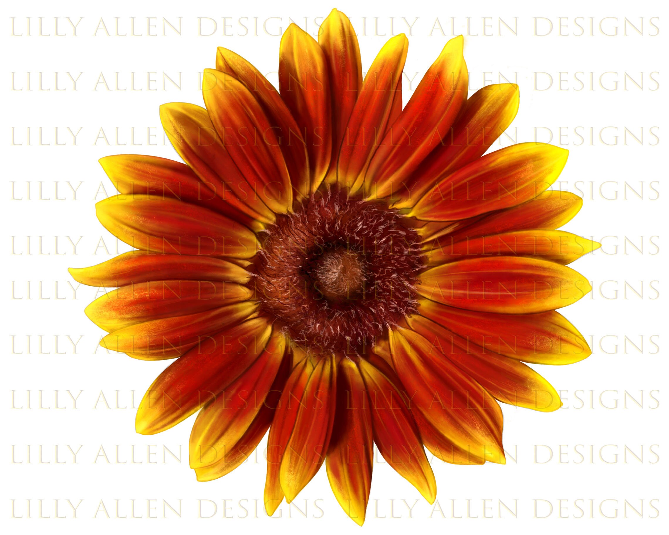 Little Becka Sunflower Png Sunflower Png Sunflower Png - Etsy