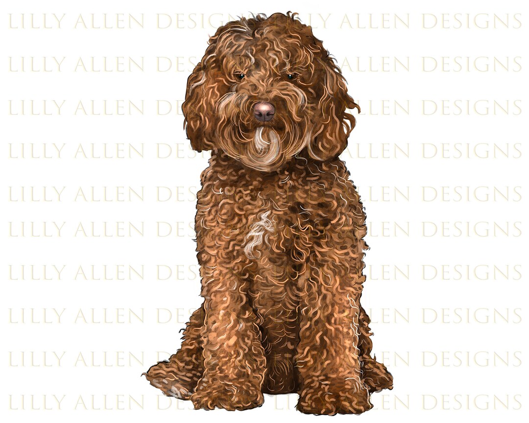 Labradoodle Dog Illustrations Png Digital Download, Dog Png, Imprimible ...