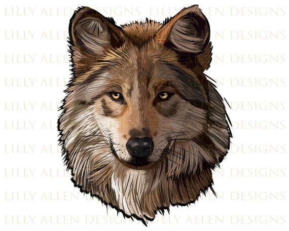 Wolf PNG Images  Free Photos, PNG Stickers, Wallpapers