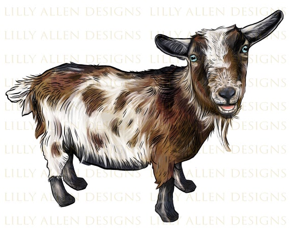 Nigerian Dwarf Goat Png Goat Png Sublimation Design Goat - Etsy