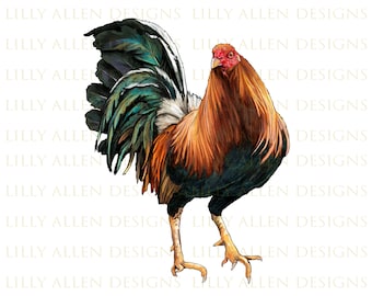 Fighting Rooster Svg Etsy