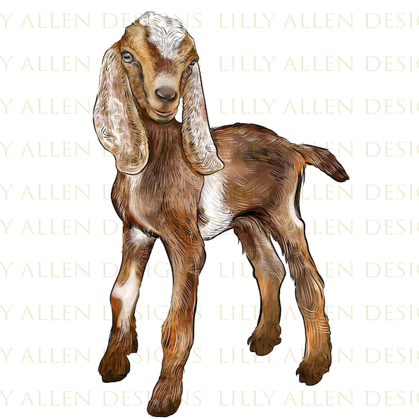 Nubian Baby Goat Png, Baby Goat Png Sublimation Design,Nubian Goat Cub Png,Hand Drawn Nubian Goat Cub Png,Barnyard Animals,Digital Download