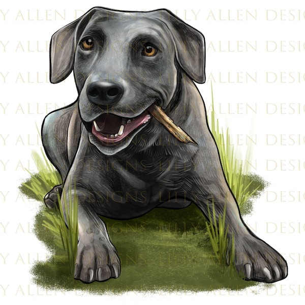 Texas Blue Lacy Dog Illustrations Png Digital Download, Dog Png, Printable Dog Png Image For Wall Art,Decoration,Scrapbooks,Crafts,Download