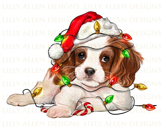 Cavalier king charles christmas cheap