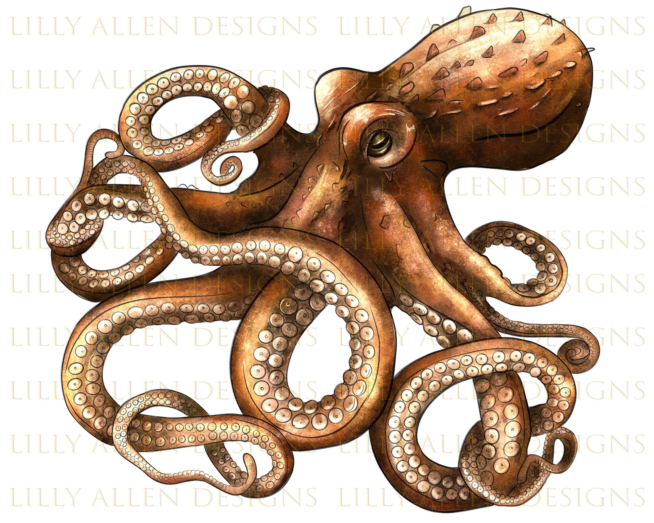 Octopus Png Sublimation Design Octopus Png Sea Creatures - Etsy