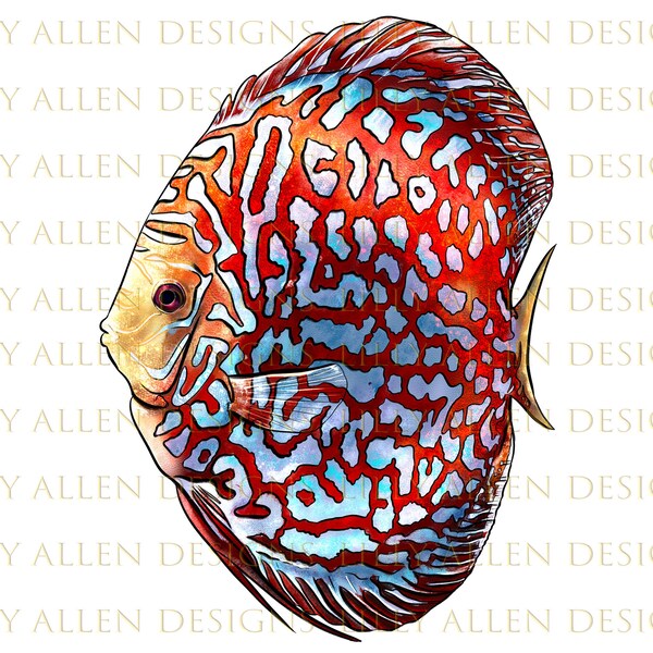 Discus Clipart - Etsy