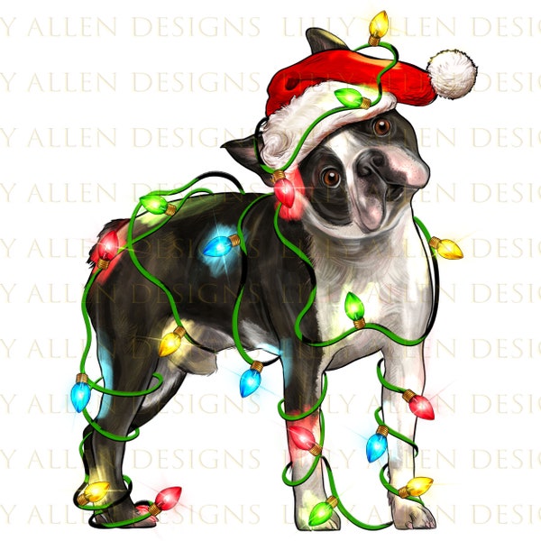 Christmas Boston Terrier png sublimation design download, Boston Terrier png, Christmas png, Happy New Year png, sublimate designs download