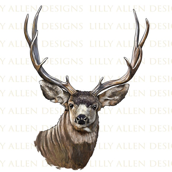 Mule Buck Deer Head Png Sublimation Design, Hand Drawn Deer Png, Mule Buck Deer Portrait Png, Deer Clipart Png Digital Downloads