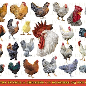 Rooster Chicken ATC Size Poultry Cards Printable Junk Journal