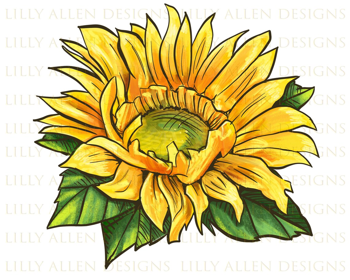 Starburst Greenburst Sunflower Png Sunflower Png Sunflower Etsy