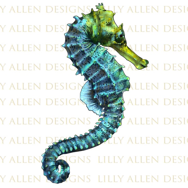 Blue Seahorse Png Sublimation Design, Hand Drawn Blue Seahorse Png, Sea Creatures Png, Blue Seahorse Design,Digital Download