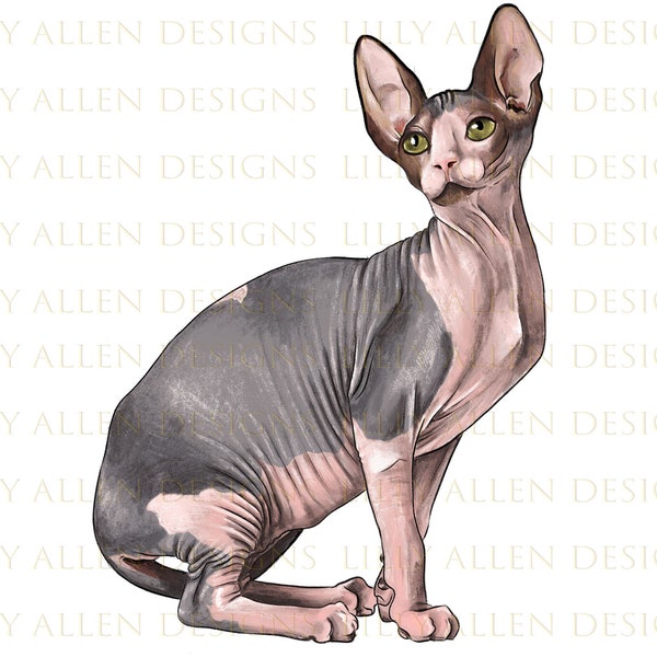 Sphynx Cat Png, Cat Png, Sphynx Cat Sublimation Design, Sphynx Cat Portrait Png, Hand Drawn Sphynx Cat Png Digital Download