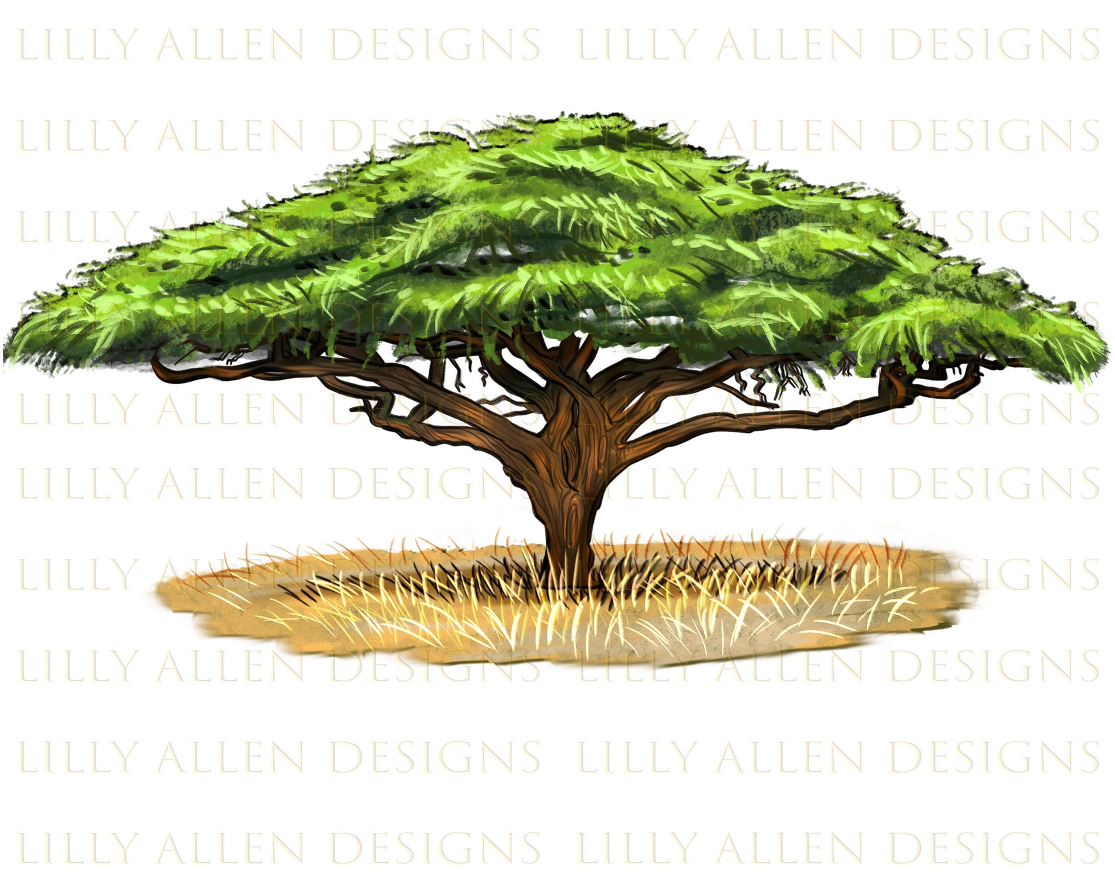 Acacia Tree Illustrations Png Digital Download,acacia Tree Png,acacia