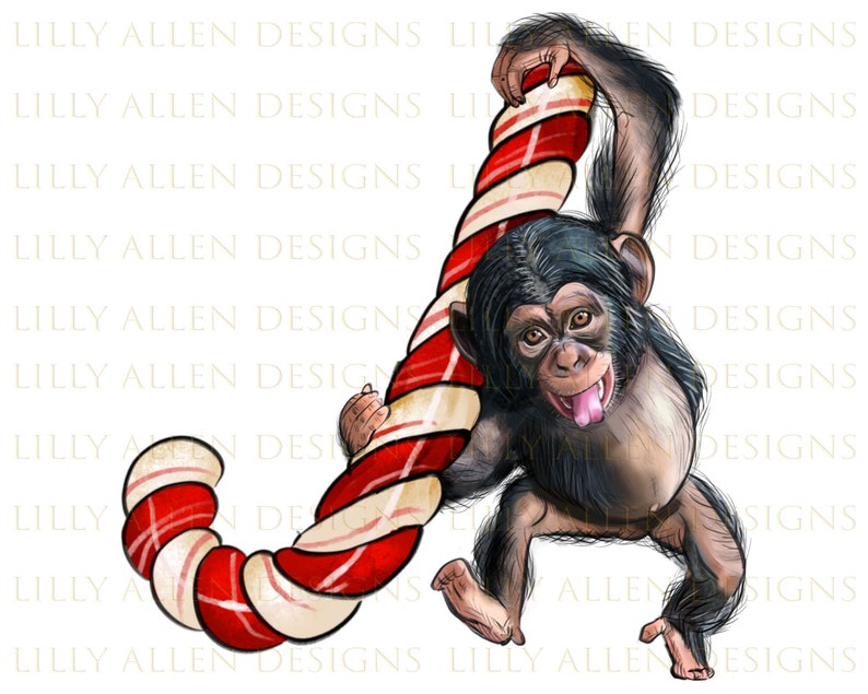 Christmas Candy Cane Baby Chimpanzee Png Sublimation Design,Christmas Monkey Png,Christmas Animal Png,Candy Cane Monkey Png,Digital Download image 1