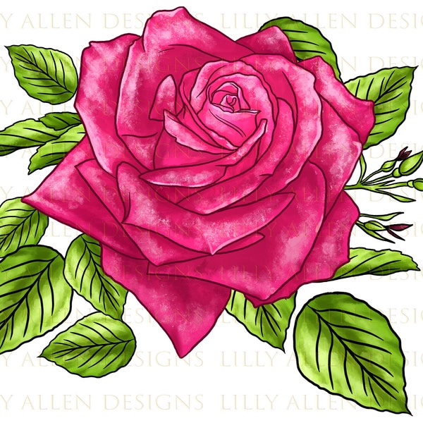 Perfume Delight Rose Png, Hybrid Tea Rose Png, Rose Png Sublimation Design,Hand Drawn Rose Png,Pink Rose Png,Rose Clipart,Rose Png Downloads