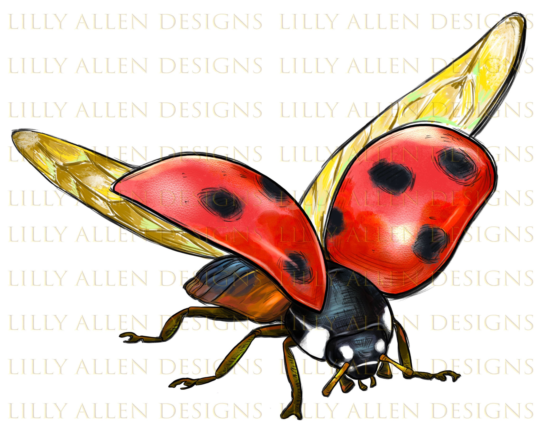 Miraculous Ladybug Png, Ladybug Png, Miraculous Tales Of Ladybug & Cat Noir  Png Digital File, CT32