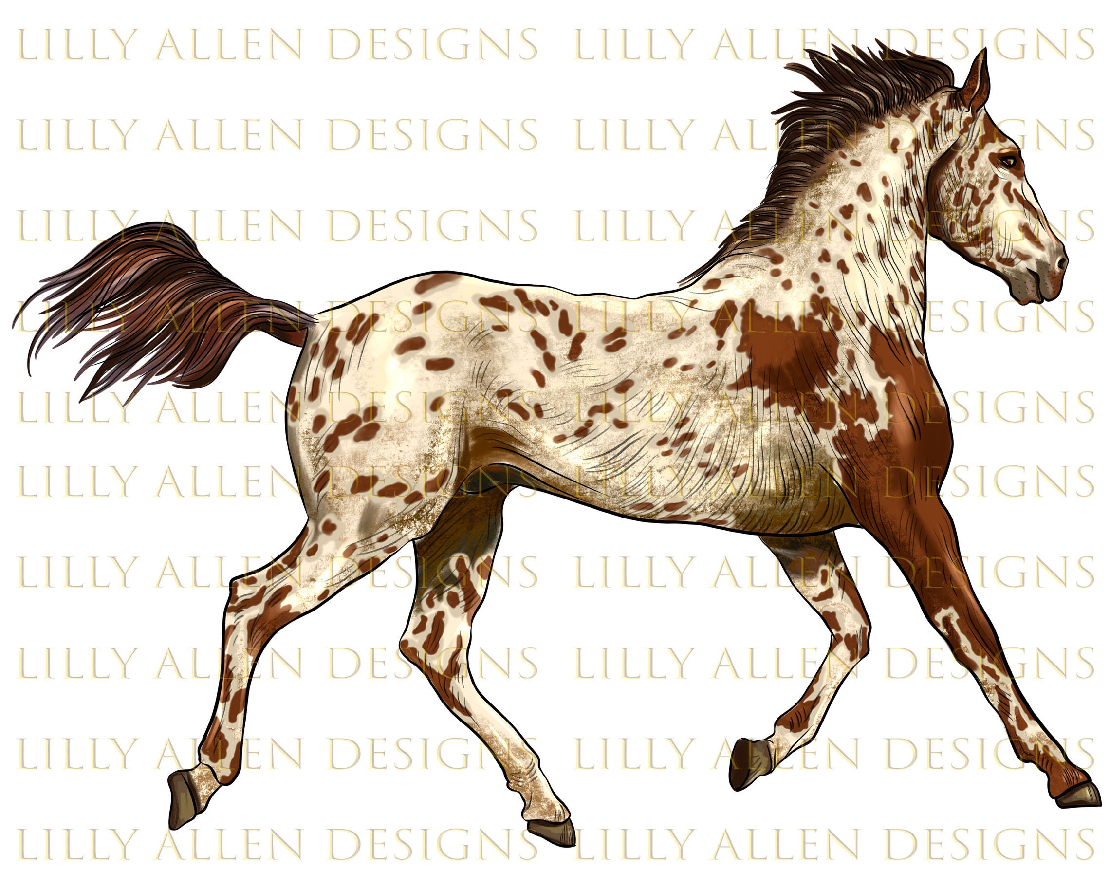 Appaloosa Horse Digital Download Print | Horse Photography | Horse Lover  Gift Ideas | Western Home Decor