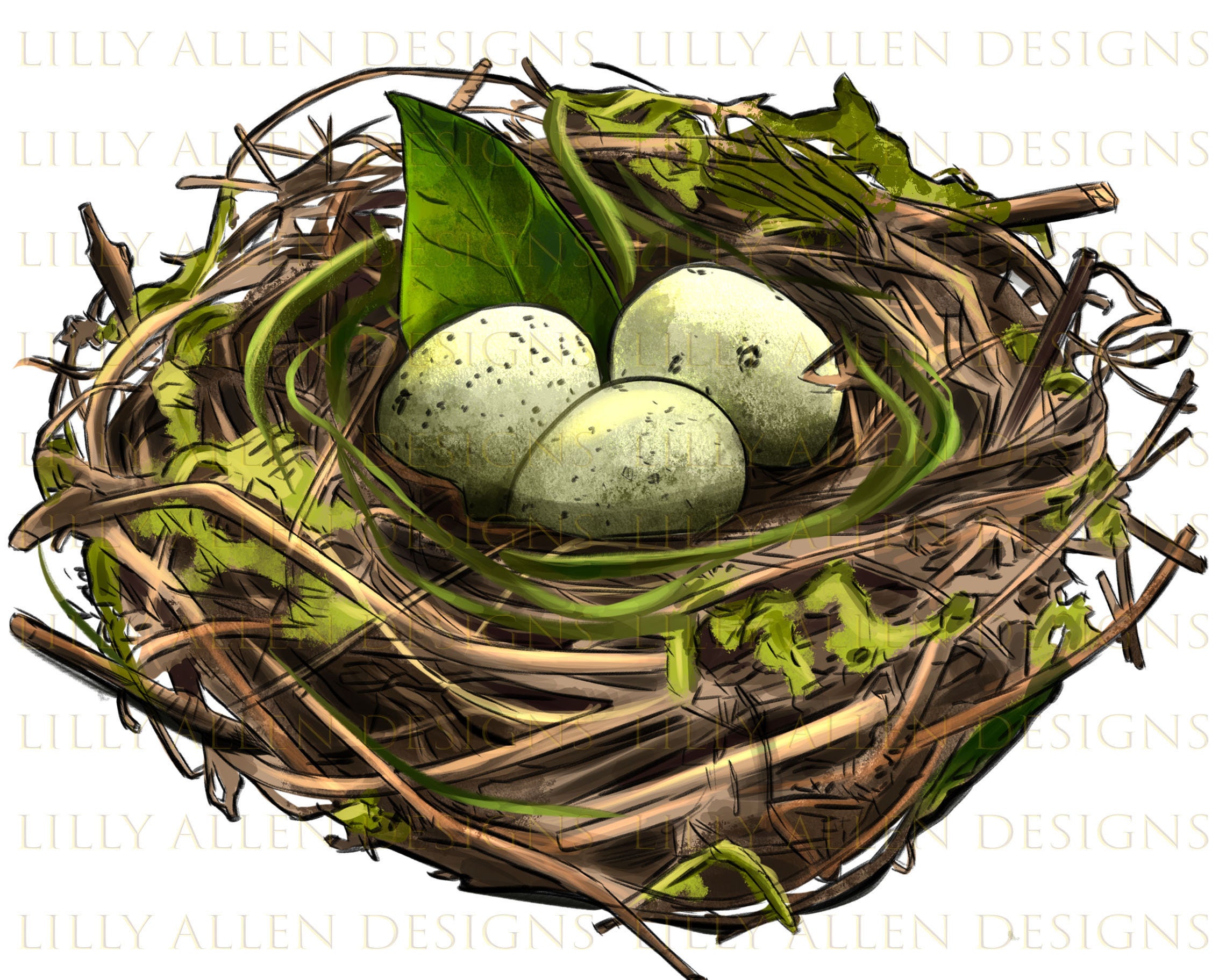 Edible birds nest Egg Bird nest, Nest money transparent background