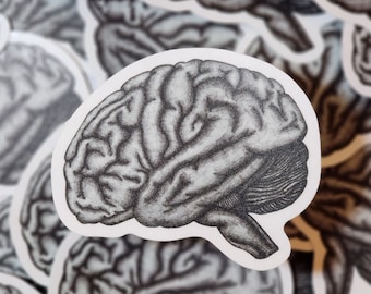 Op de afbeelding: Een vel stickers met een zwart-witte illustratie van een menselijk brein. De hersenen zijn realistisch getekend met gedetailleerde plooien en rimpels.