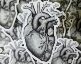 Anatomical Heart Sticker, Matte Vinyl Sticker, Medical Art Sticker, Hand Drawn Heart Sticker, Laptop Sticker, Journal Decor