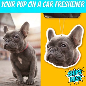 Custom Air Freshener, Photo Air Freshener, Dog Air Freshener, Dog Freshener, Air Freshener For Car, Fun Car Freshies, Pet Air Freshener Gift