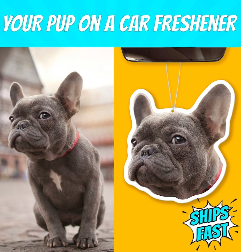 Pu&ograve; includere: Un cucciolo di bulldog francese grigio seduto su un marciapiede. Il cucciolo sta guardando a sinistra. Il cucciolo indossa un collare rosso. L'immagine &egrave; una bozza di un deodorante per auto con il viso del cucciolo su di esso. Il testo "YOUR PUP ON A CAR FRESHENER" &egrave; nella parte superiore dell'immagine. Il testo "SHIPS FAST" &egrave; in una bolla di dialogo nella parte inferiore dell'immagine.