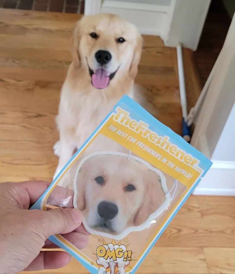 Custom Air Freshener Pet Photo Air Freshener Cat Photo Etsy