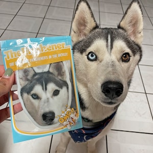 Pu&ograve; includere: Un cane husky bianco e grigio con occhi azzurri e marroni guarda la telecamera. Il cane indossa un bandana blu con stelle bianche. Il cane tiene in mano un deodorante per auto bianco con l'immagine di un cane husky. Il deodorante ha il testo "The Freshener... The best car fresheners in the world!" e "OMG!" su di esso.