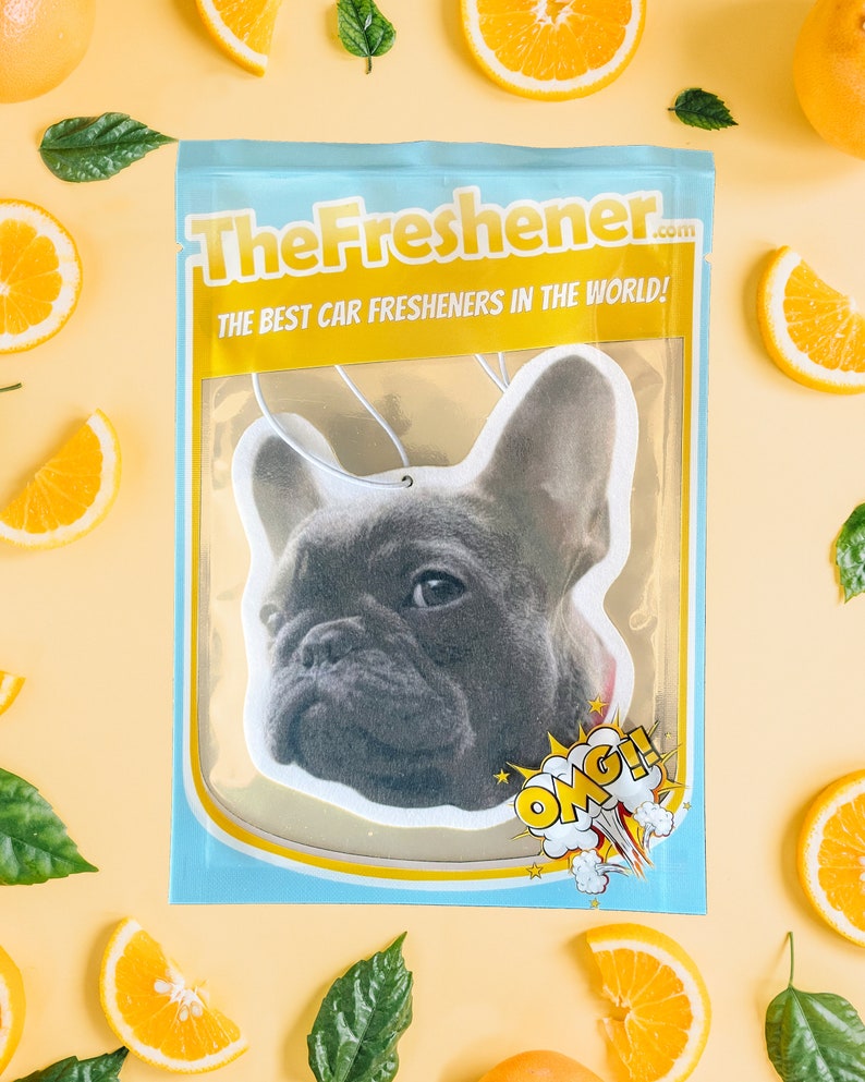 Pu&ograve; includere: Un deodorante per auto bianco con l'immagine di un Bulldog Francese. Il deodorante &egrave; in una busta di plastica trasparente con un bordo blu e giallo. Il testo "TheFresher.com" e "THE BEST CAR FRESHENERS IN THE WORLD!" &egrave; stampato sulla busta. Il testo "OMG!" &egrave; stampato sul deodorante in un fumetto giallo.