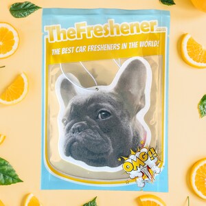 K&ouml;nnte beinhalten: Ein wei&szlig;er Auto-Lufterfrischer mit einem Bild eines franz&ouml;sischen Bulldoggen. Der Lufterfrischer befindet sich in einem durchsichtigen Plastikbeutel mit blauem und gelbem Rand. Der Text "TheFresher.com" und "THE BEST CAR FRESHENERS IN THE WORLD!" ist auf dem Beutel aufgedruckt. Der Text "OMG!" ist in einer gelben Sprechblase auf dem Lufterfrischer aufgedruckt.