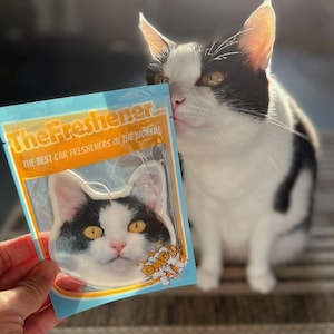 Custom Air Freshener, Pet Photo Air Freshener, Cat Photo Freshener, Hanging Air Freshener For Car, Fun Car Freshies, Custom Car Freshener