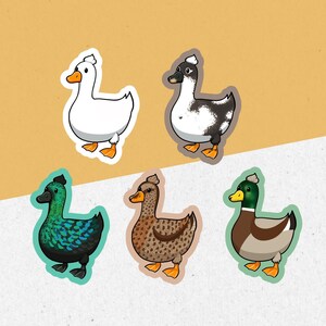 Pack d'autocollants canards mignons | Autocollants faciles à décoller en vinyle sur le thème du canard | Kawaii Nature, oiseaux aquatiques Cottagecore, cadeau pour ordinateur portable, carnet de notes pour iPad