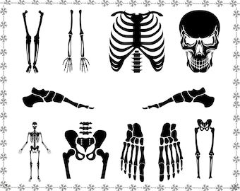 SKELETON PARTS SVG, Skeleton svg, Skeleton parts png, Halloween svg, Cricut Cut Files, Skeleton Cut Files, Skeleton Bones Clipart svg