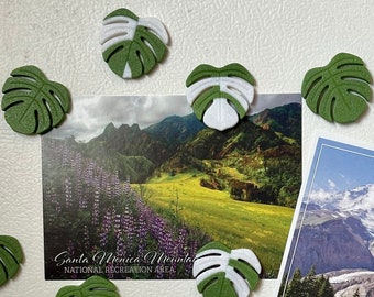 Monstera Leaf Magnets, 3D-Printed Set