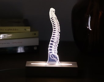 Personalized Spine LED Lamp – Gift for Chiropractor, Surgeon, or Student