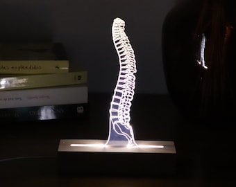 Led-Licht für Wirbelsäulenchirurg oder Studentenchiropraktiker. Led Lichter Geschenk für ihn. Osteeopath Studenten-Abschluss-Geschenk, 3D-Illusion-Tischlicht