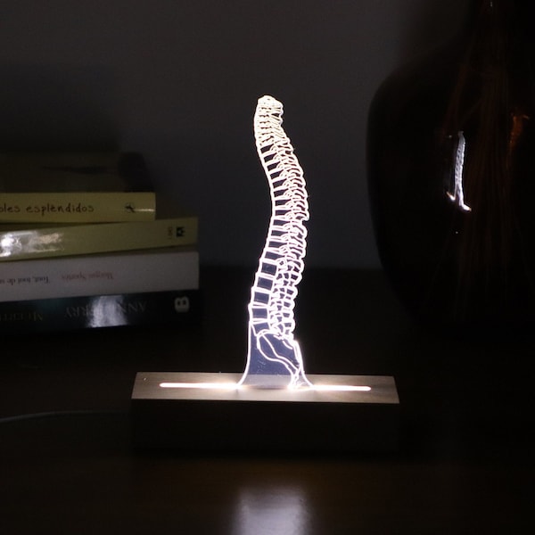 Lampe LED pour chirurgien de la colonne vertébrale ou étudiant en chiropraticien. Cadeau lumières LED pour lui. Cadeau de remise des diplômes pour étudiant ostéopathe, lampe de table illusion 3D