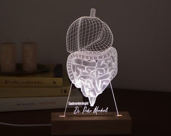 Personalized Lamp for School Gastroenterologist.  Custom Gastroenterologist Gift, Led Lights Gift For Him. Student Graduation Gift
